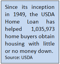 USDA home loan statistics